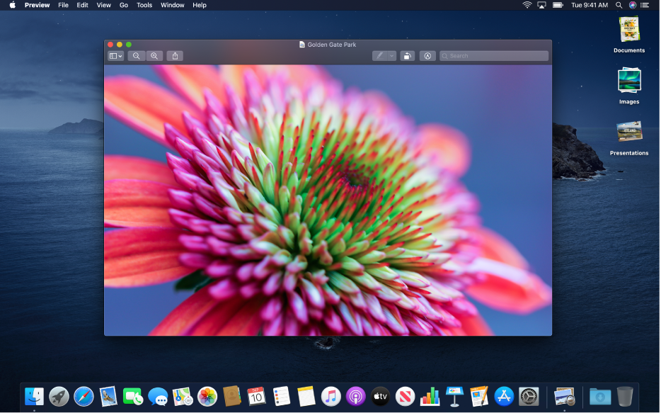 lumyer app for mac desktop